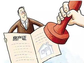 夫妻共有房产怎么写