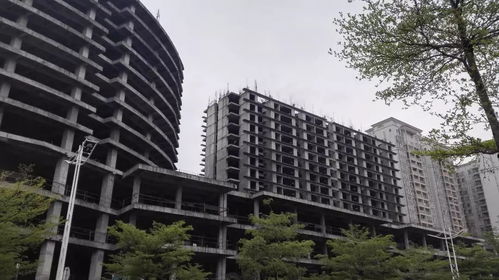 重庆无房产本省怎么落户