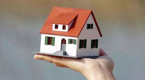 房产观察的作品怎么写