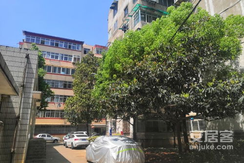 南海和顺 房产怎么样