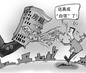 房产基本稳住怎么办