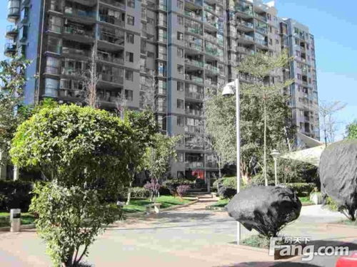 房产信息怎么查云浮