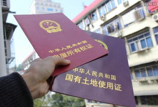 讨论房产视频怎么说