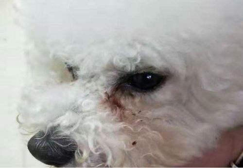 房产核验失败怎么回事