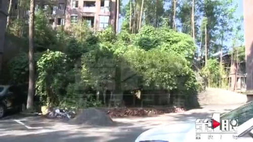 綦江避暑房产怎么样