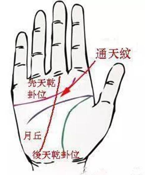 手相怎么看你的房产