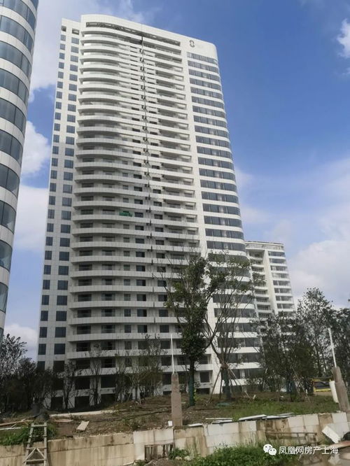 伟信房产怎么样