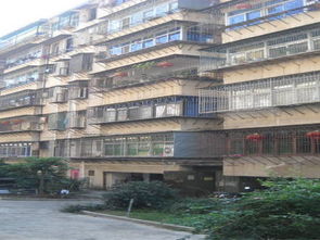 晋江新塘房产怎么样