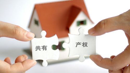 房产共同产权怎么过户 房产共同产权怎么过户