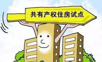 房产权共有怎么办