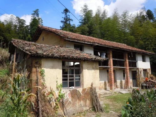 农村继承房产怎么办