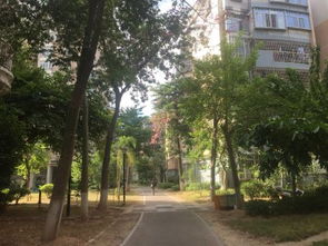 溪居房产怎么样