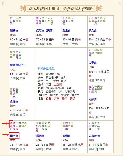 紫微怎么看有多少房产