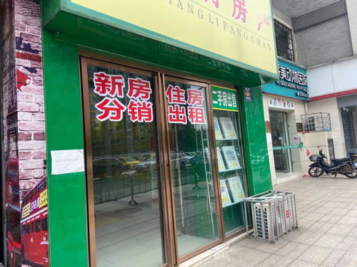 峨眉房产中介怎么收费