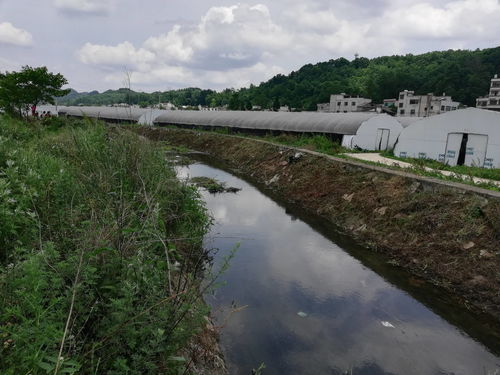 老城镇查封房产怎么处理