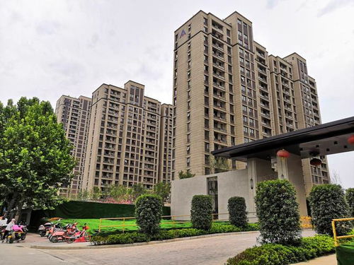 北美房产风水怎么样