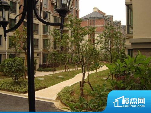 合肥房产达人房子怎么租