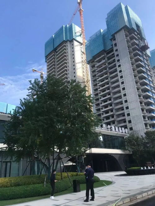 南宁怎么查房产是否解押 南宁怎么查房产是否解押