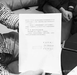 兄弟房产共有人怎么分