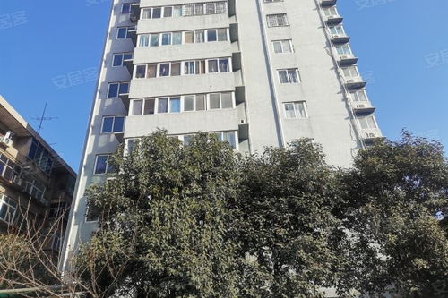 陕建房产怎么样