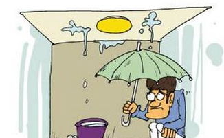 房产隐瞒漏水怎么办