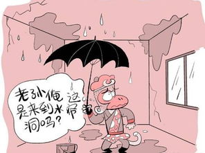 房产隐瞒漏水怎么办