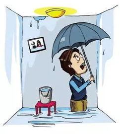 房产隐瞒漏水怎么办