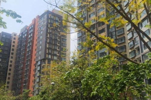 长丰房产经纪怎么样