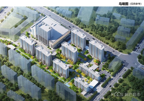 桐乡合金房产怎么样