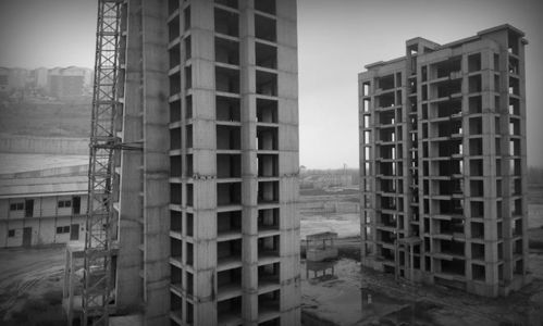 政府怎么处置烂尾房产呢