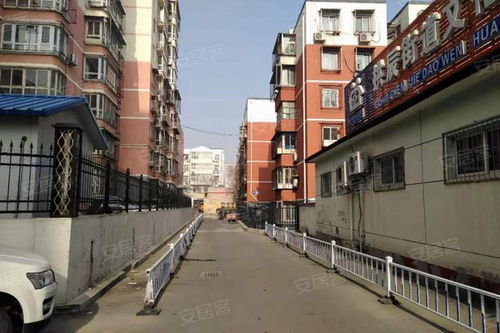 洛阳聪慧房产怎么样