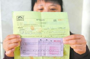 做房产中介怎么取名