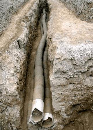 房产里的粪便怎么处理