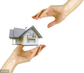 房产法拍夫妻怎么分