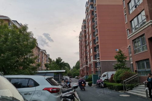 映雪房产经纪怎么样