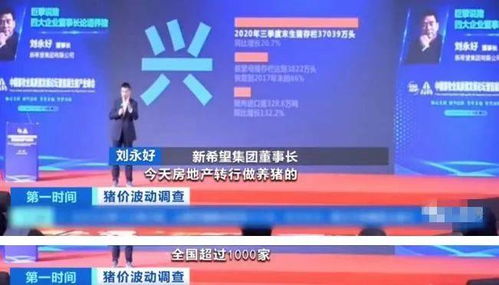 西方怎么卖房产赚钱的