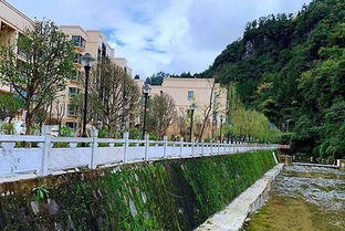 桐梓避暑房产怎么样