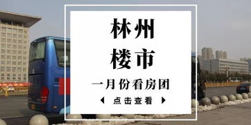 林州房产信息怎么查询