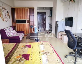 新巢房产怎么样