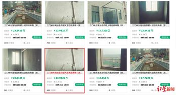 怎么查当地拍卖房产