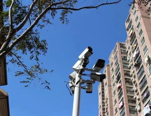 房产广告高空抛物怎么写