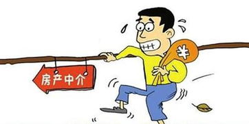 怎么坑房产中介老板