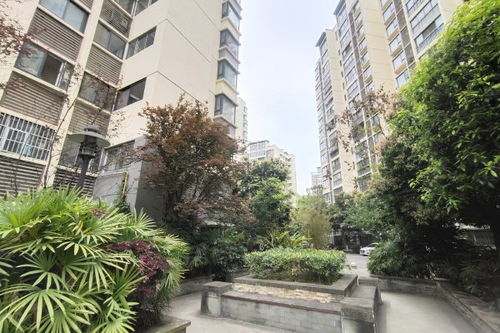 榆次小岛房产怎么样