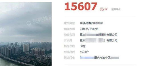 视频介绍房产要素怎么写