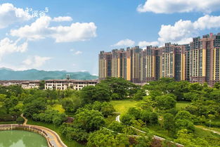 房产风景拍摄方案怎么写