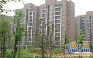 房产中介怎么定位房源