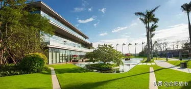 身强怎么看房产