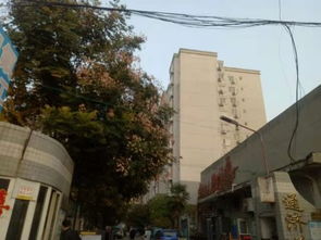 通济房产怎么样