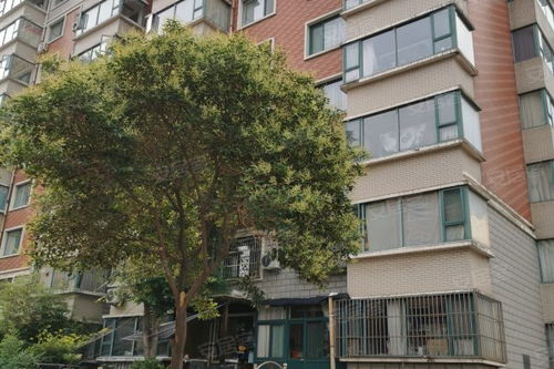 通济房产怎么样