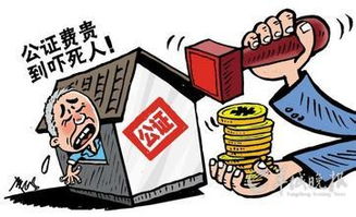 房产公证费用怎么写